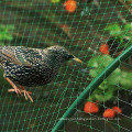 Agricultural PP Bird Net for Protection of Plants